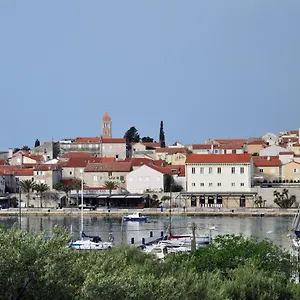 Rose At Island Of Rab , Banjol Croatia